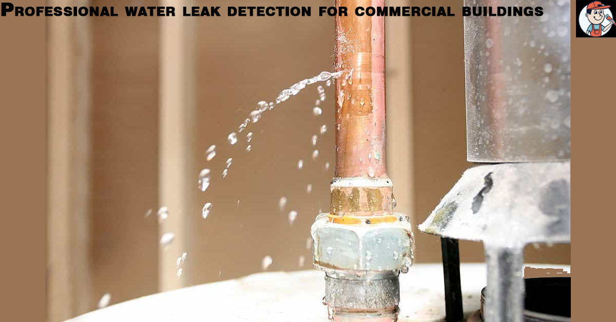 Water leak detection specialists